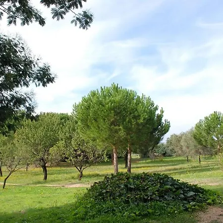 In Montegrosso With Wi-fi Montegrosso