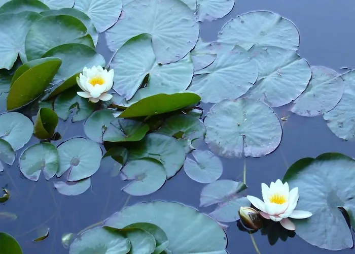 In Montegrosso With Wi-fi Alpstuga