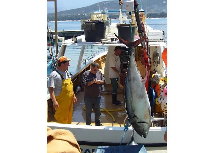 In Montegrosso With Wi-fi Alpstuga Montegrosso